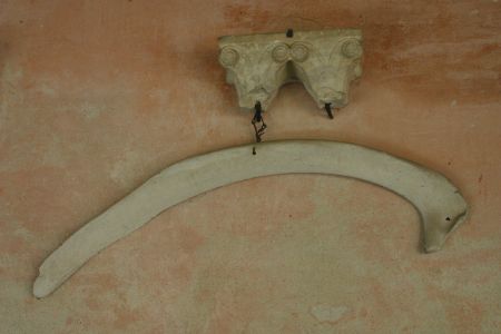 L'osso custodito nel chiostro di Staffarda. Secondo una tradizione, potrebbe essere del leggendario Jumarre