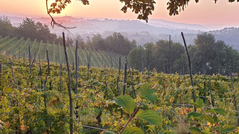 cosa fare vedere Langhe